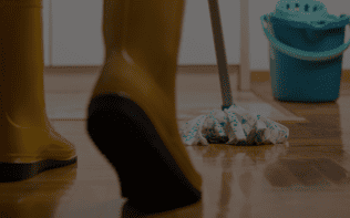 Get Started With Shoe Finder