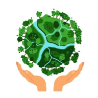 environmental-stewardship.webp